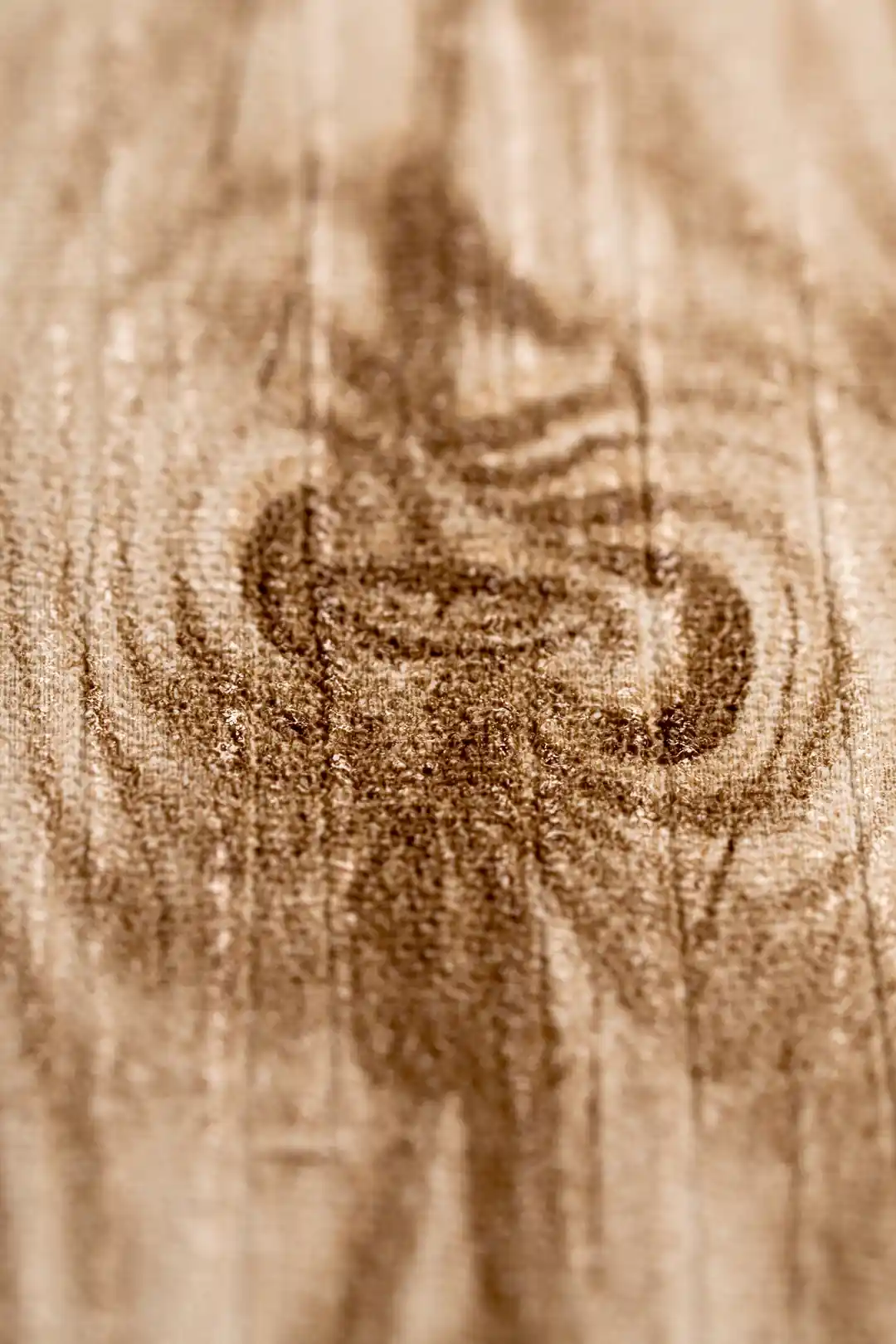 Extreme close-up macro of wood grain knot texture showing realistic embossed detail on wallpaper