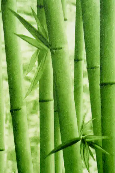 Close-up view of green bamboo stalks and leaves printed on textured wallpaper surface