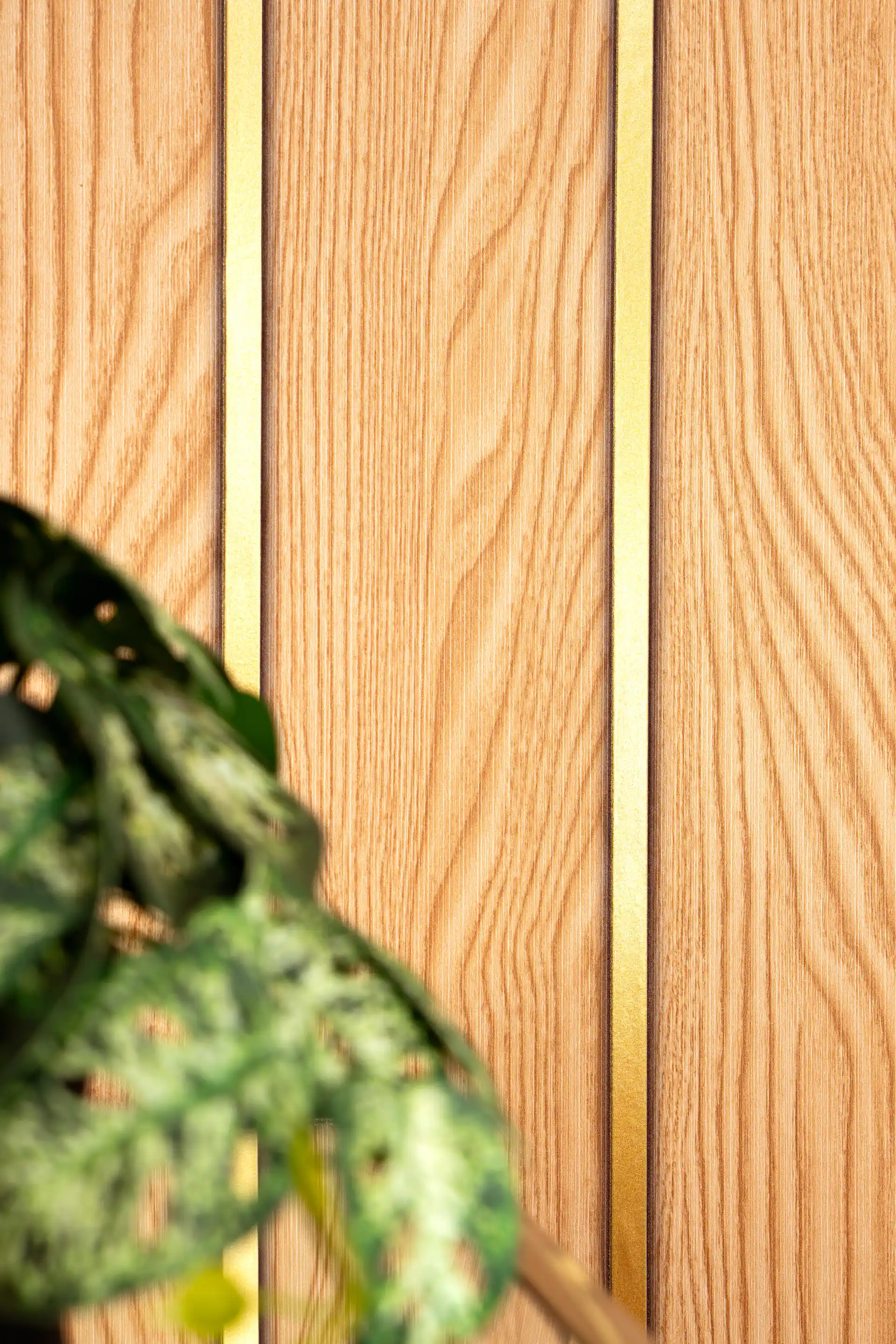 Oak Wood Slats Wallpaper with Golden Strip Lines For Walls