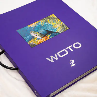 WOTO 2