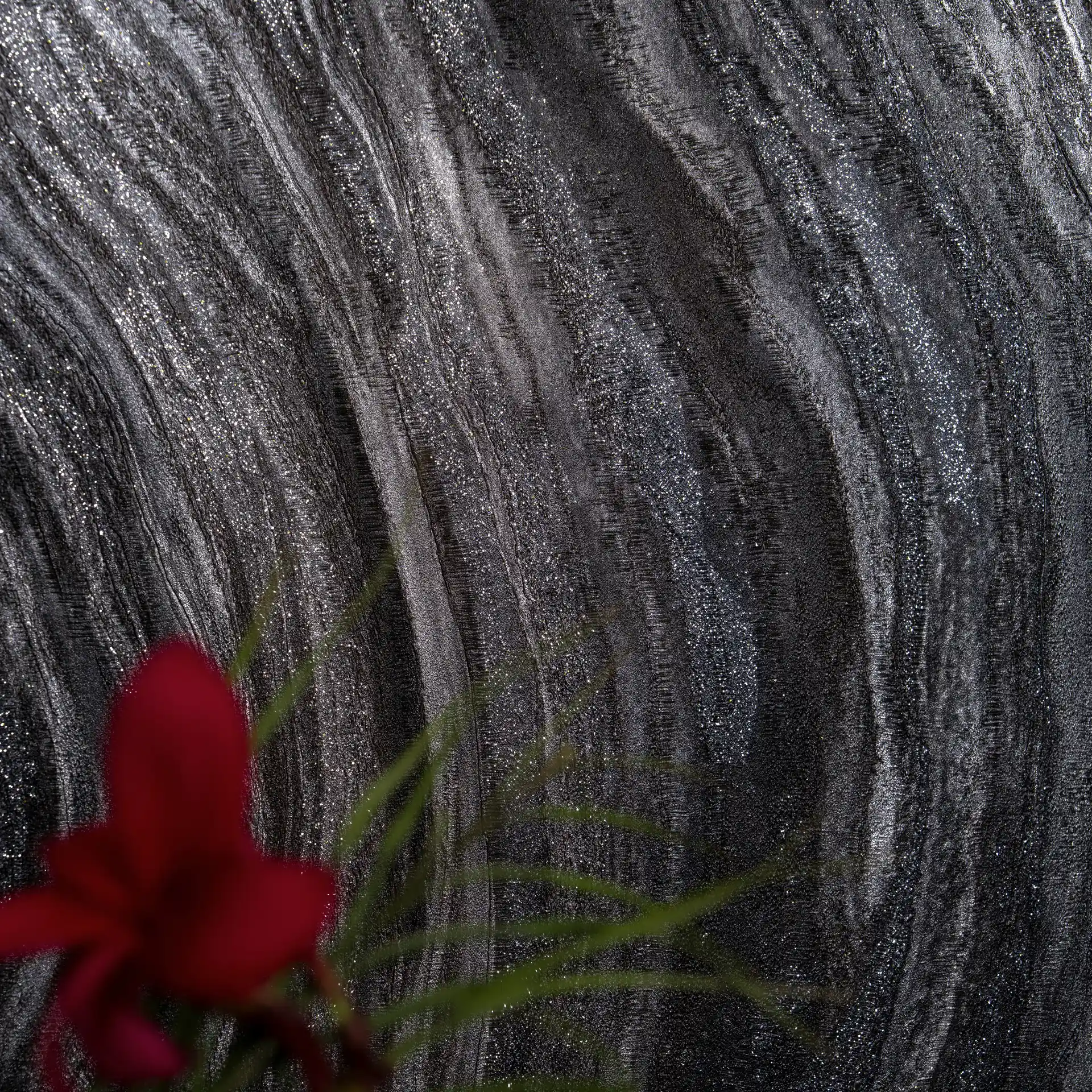 Black Graffiti Wallpaper | Shop at Piwall wallpaper